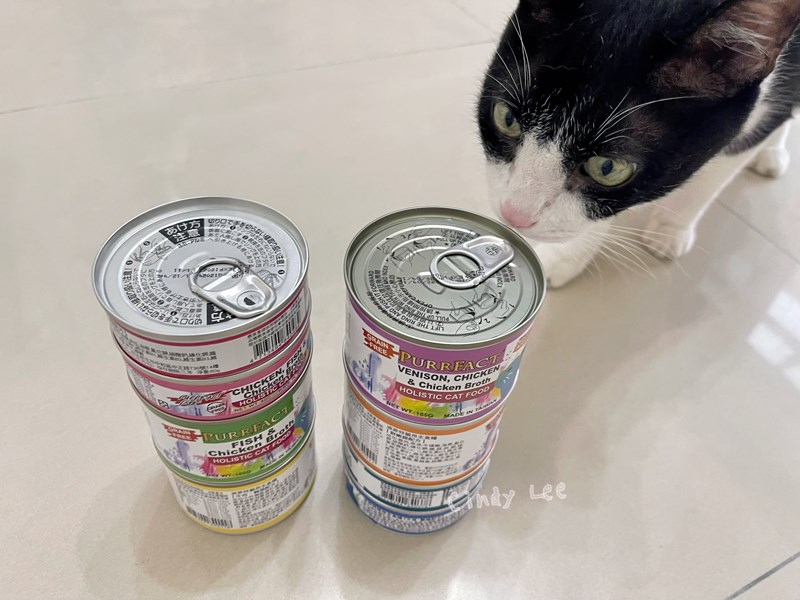 女人知己試用大隊,口碑行銷,部落客行銷,PURRFACT 波菲特貓用主食罐,主食罐,PURRFACT波菲特,貓主食罐,貓罐,PURRFACT波菲特貓用主食罐,魚肉蔓越莓主食罐,鮮嫩雞主食罐,鹿肉雞肉主食罐,牛肉鵪鶉貓主食罐,干貝蠶蛹配方,鱷魚肉白木耳配方,雞肉魚肉配方,安心鶉配方,評價,體驗,適口性佳,心得,成貓適用,高齡貓適用,質地是慕絲狀